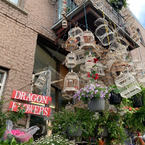 What is Royal Coast? βοΈ - Picture 7 of 13